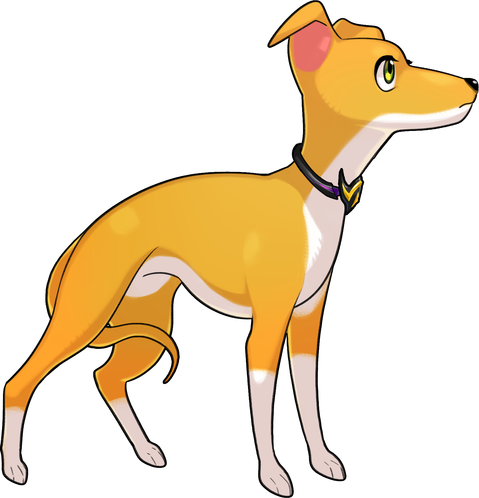 Rutger
